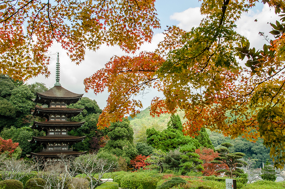 山口